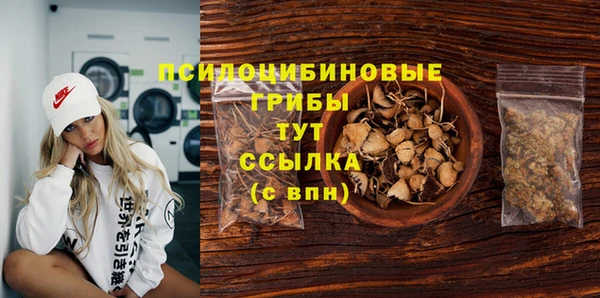 винт Алзамай
