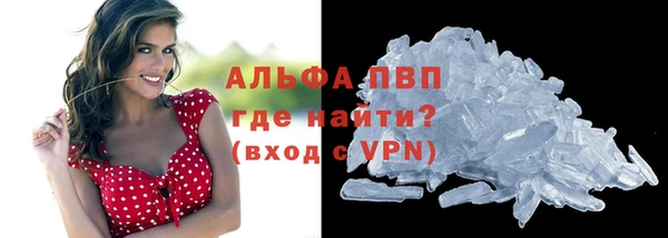 винт Алзамай