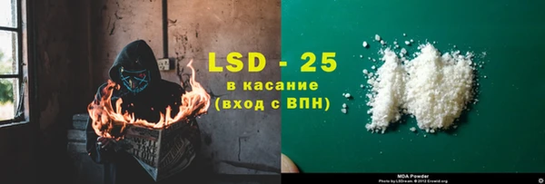 винт Алзамай