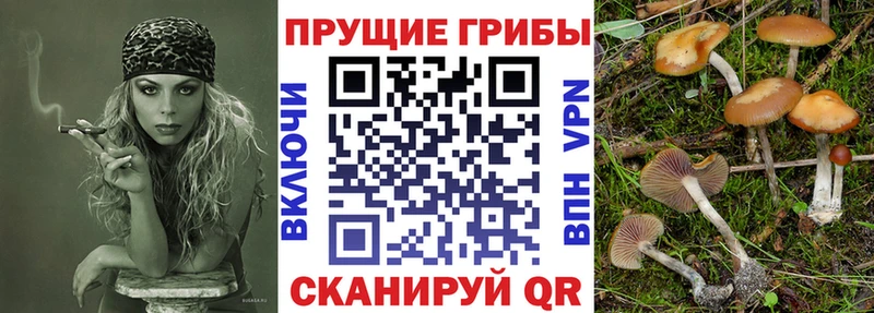 Псилоцибиновые грибы прущие грибы  купить   Кулебаки 
